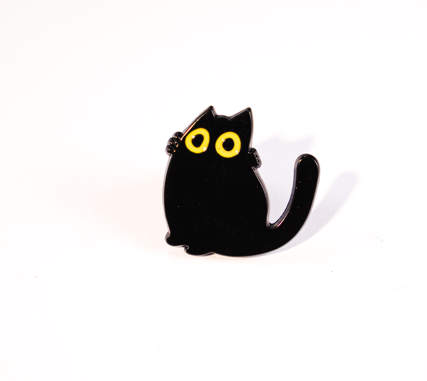 Black cat